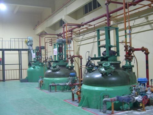 我公司聚丙烯酰胺生產(chǎn)車間反應釜