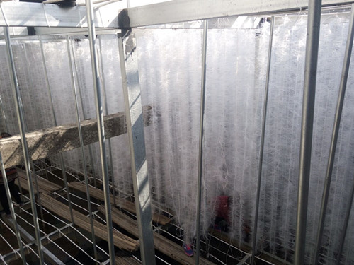 늳؏Sܛ�����ϰ��bʩ���F(xi��n)��